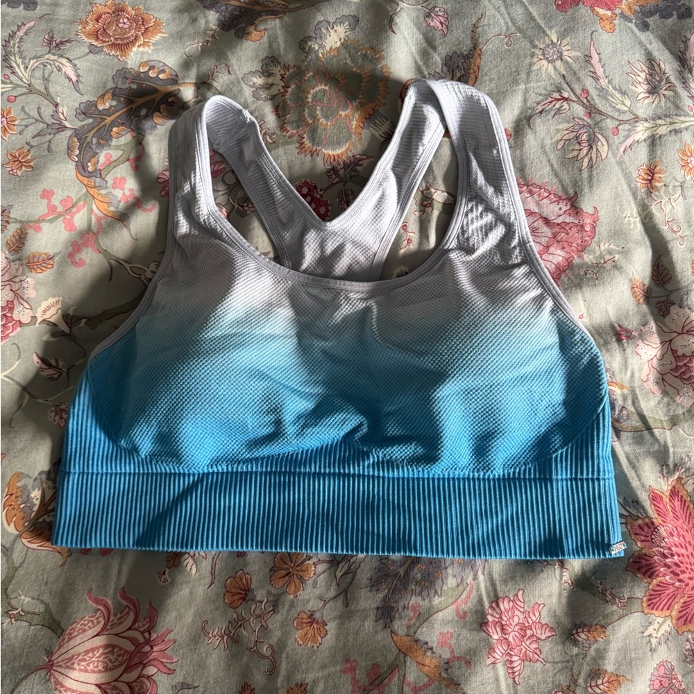 PINK Ombre Sports Bra